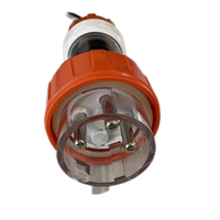 AU Plug 32A